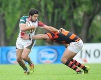 DELTA VS OLIVOS