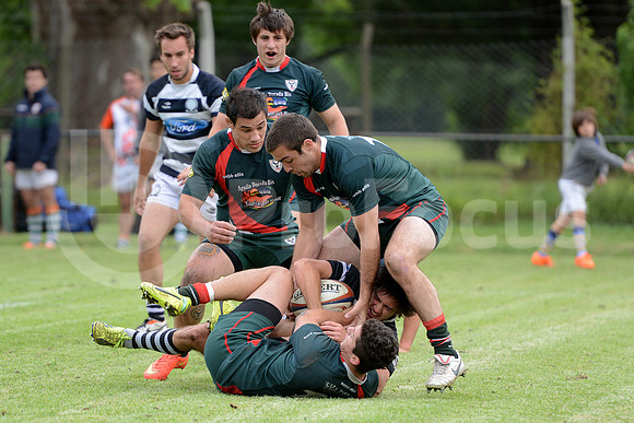 Seven URBA 2014