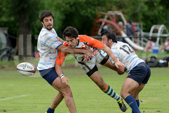 Seven URBA 2014