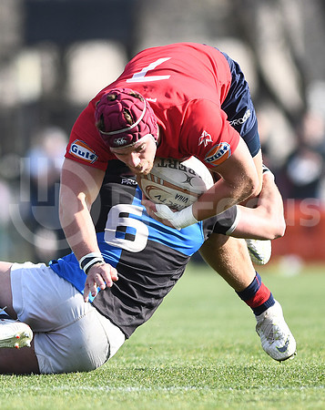 URBA TOP12 2019
