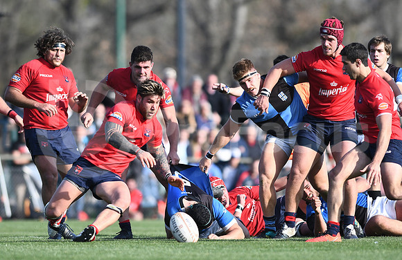 URBA TOP12 2019