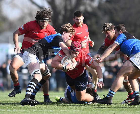 URBA TOP12 2019