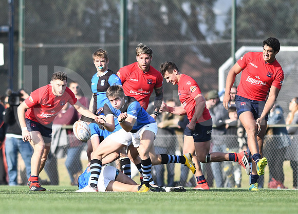 URBA TOP12 2019
