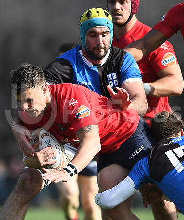 URBA TOP12 2019