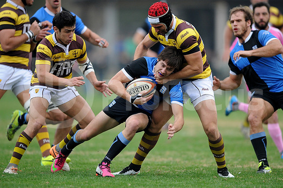URBA TOP 14