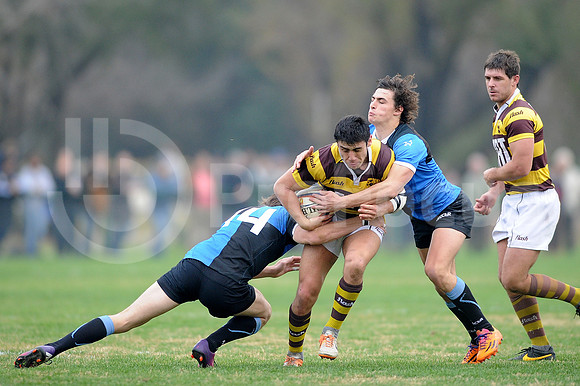 URBA TOP 14