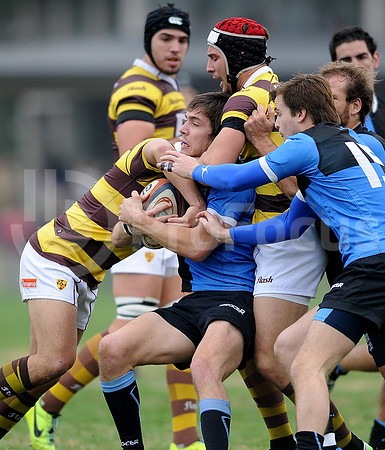 URBA TOP 14