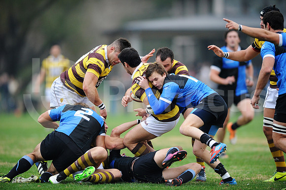 URBA TOP 14