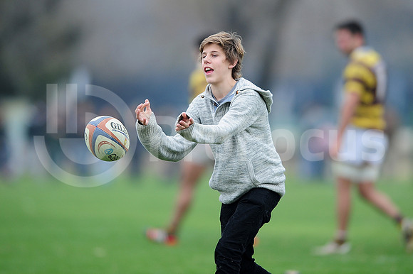 URBA TOP 14