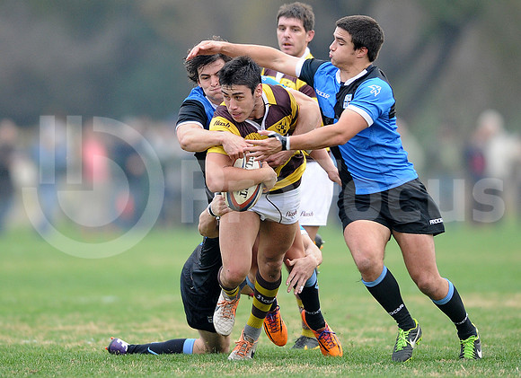 URBA TOP 14