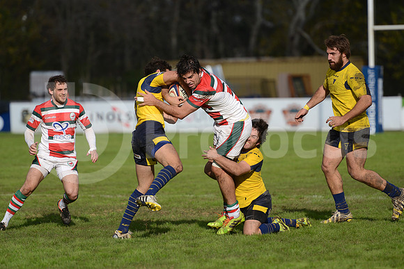 Torneo de la URBA 2014