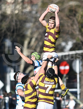 URBA TOP 12