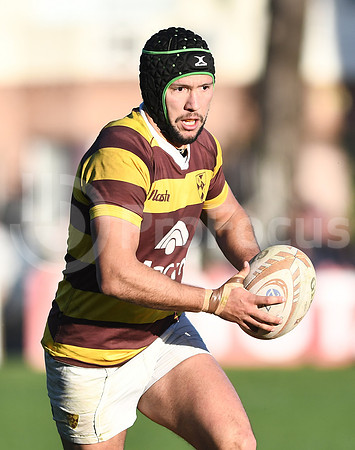 URBA TOP 12
