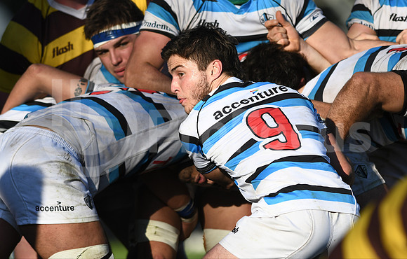 URBA TOP 12
