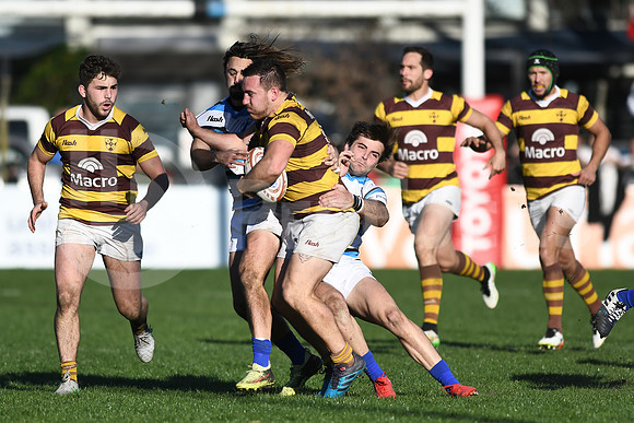 URBA TOP 12