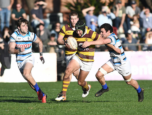 URBA TOP 12