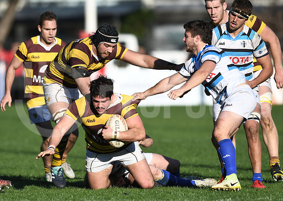 URBA TOP 12