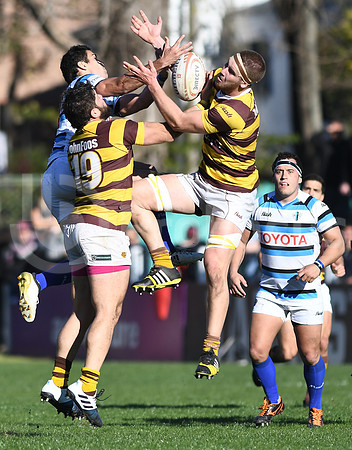 URBA TOP 12