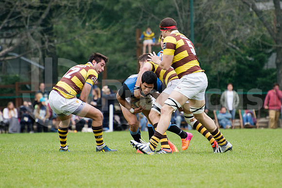 URBA TOP14 2014