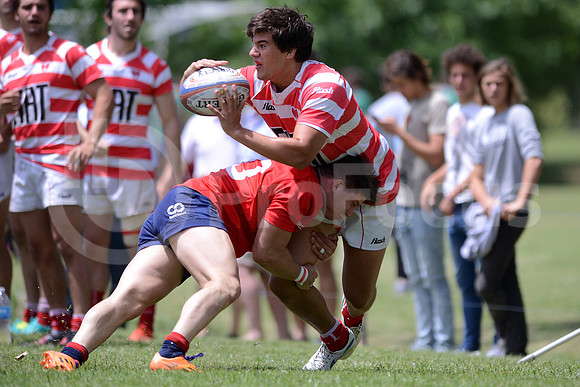 Seven URBA 2016