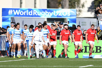 ARGENTINA VS GALES