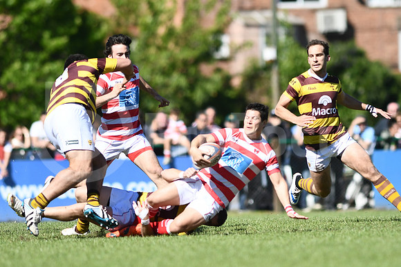 Alumni vs Belgrano. TOP 12 2017