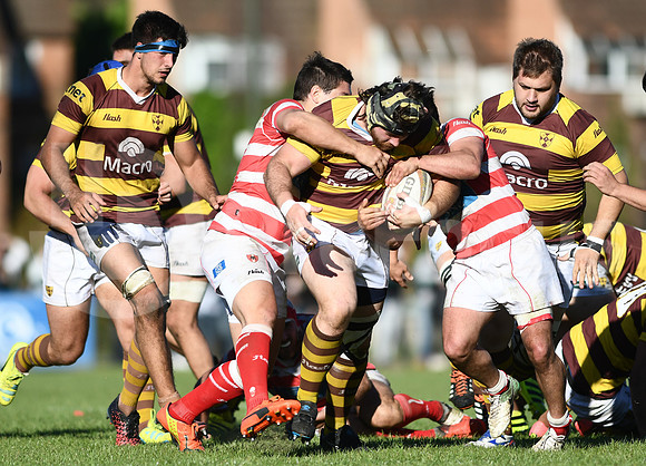 Alumni vs Belgrano. TOP 12 2017