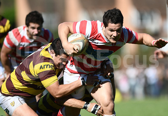 Alumni vs Belgrano. TOP 12 2017