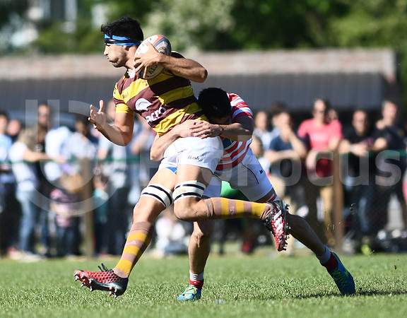 Alumni vs Belgrano. TOP 12 2017