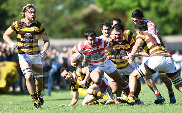 Alumni vs Belgrano. TOP 12 2017