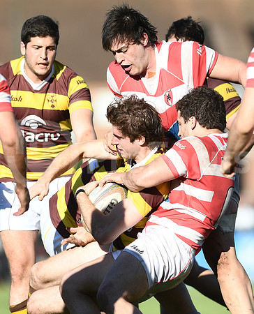 Alumni vs Belgrano. TOP 12 2017