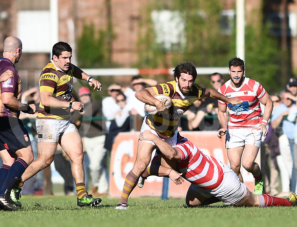 Alumni vs Belgrano. TOP 12 2017