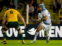 DOVE MEN PUMAS VS WALLABIES