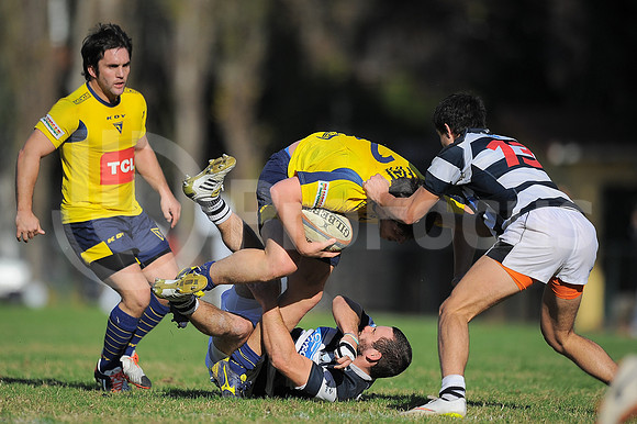 URBA TOP 14