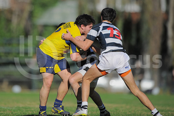 URBA TOP 14