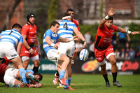 ARGENTINA XV - TOULON EN CASI