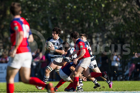 SAN LUIS vs CASI