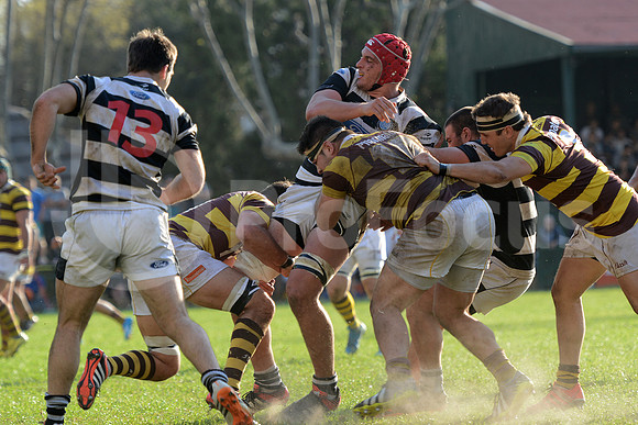 URBA TOP14 2015