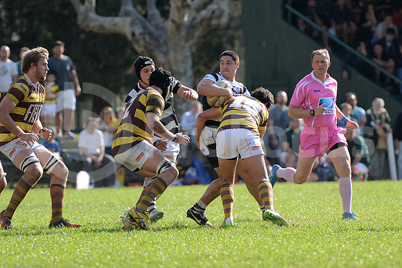 URBA TOP14 2015