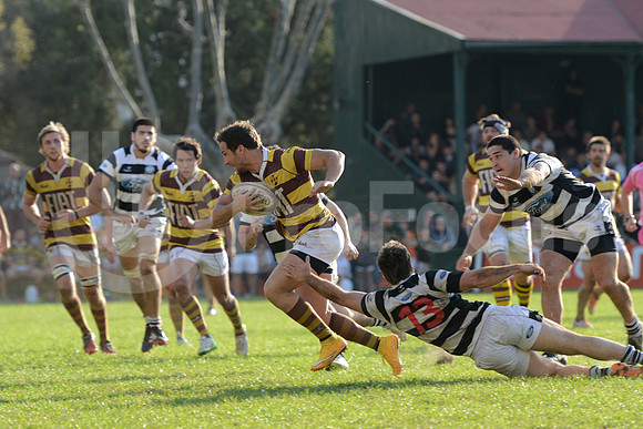 URBA TOP14 2015