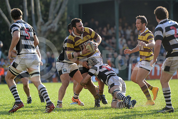 URBA TOP14 2015