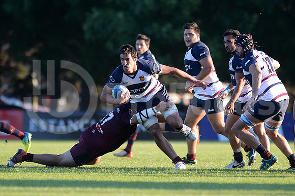 Campeonato Argentino 2016