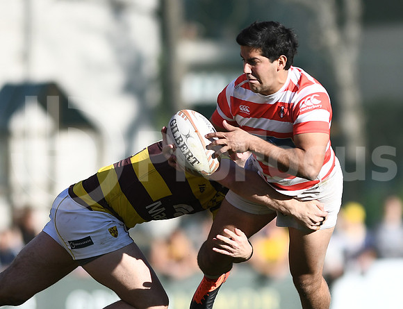 URBA TOP 12