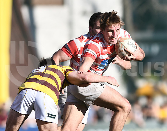 URBA TOP 12