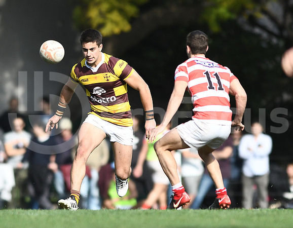 URBA TOP 12