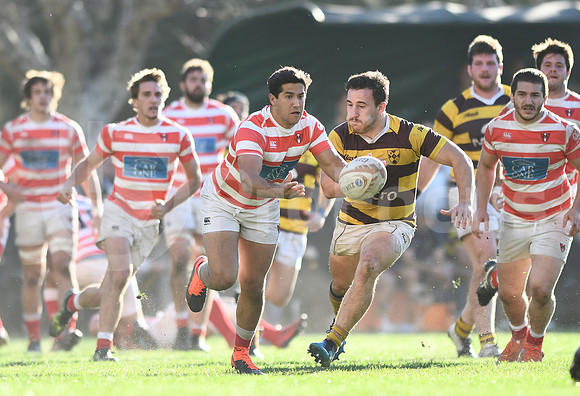 URBA TOP 12