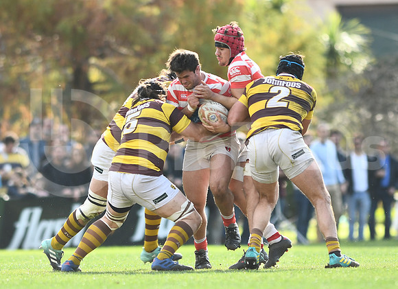 URBA TOP 12