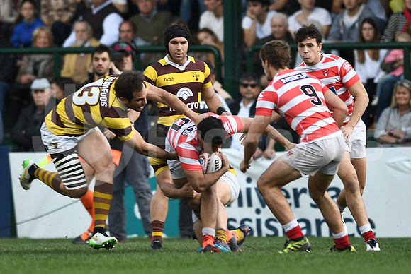 URBA TOP 12