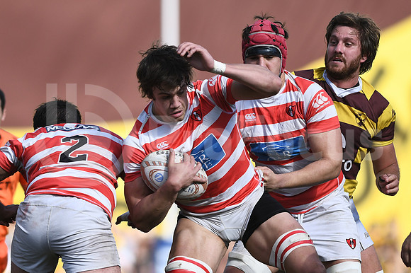 URBA TOP 12