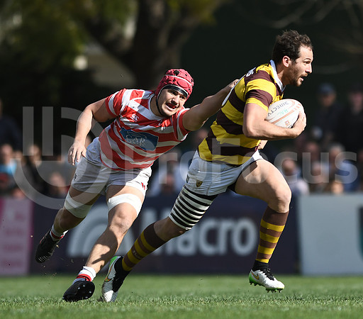 URBA TOP 12